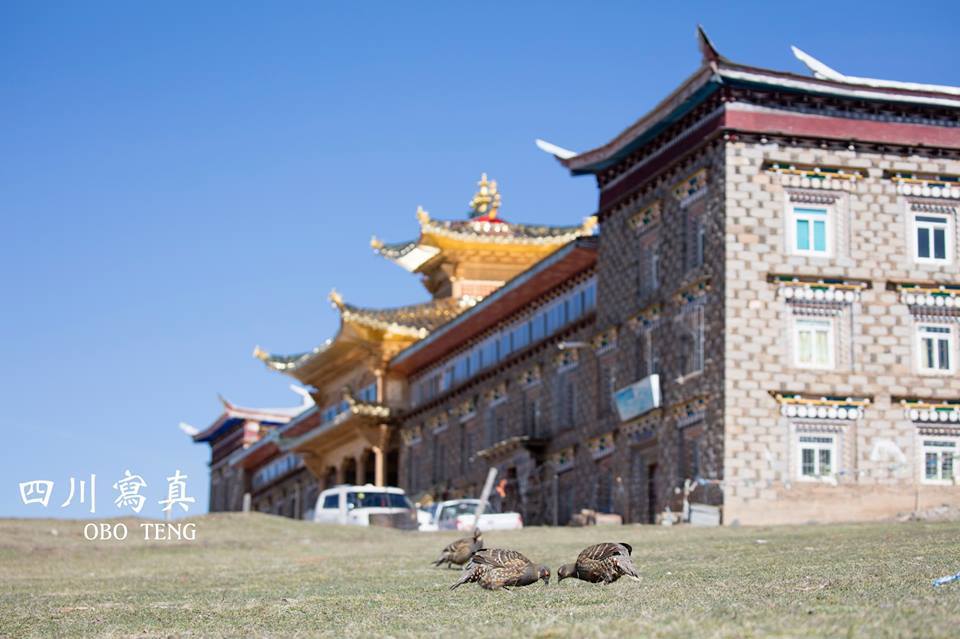 [ 旅遊分享 ] 四川