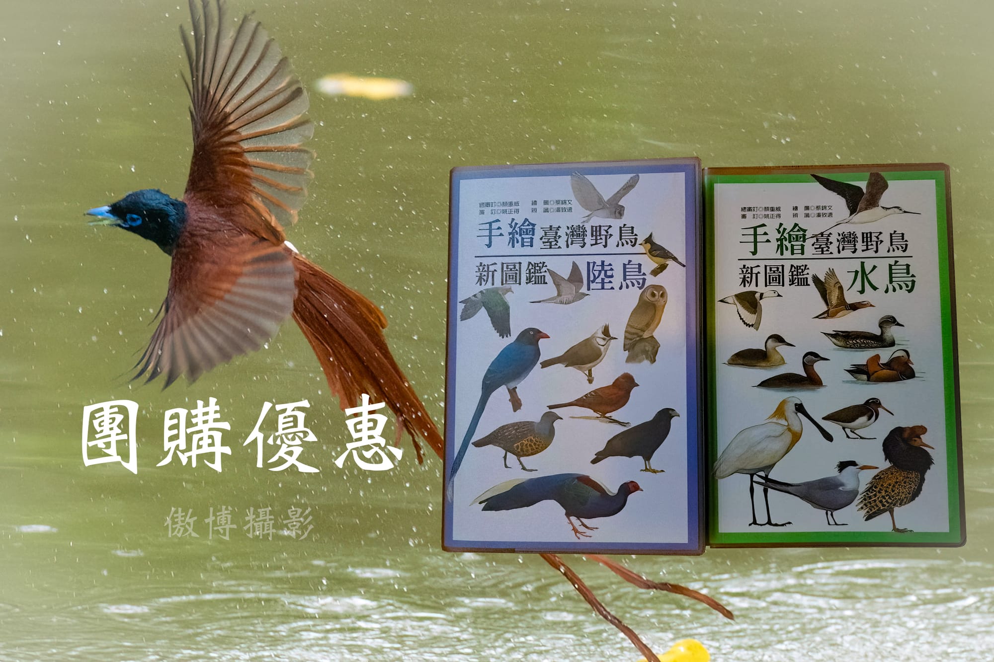 [ 鳥書推薦 ]