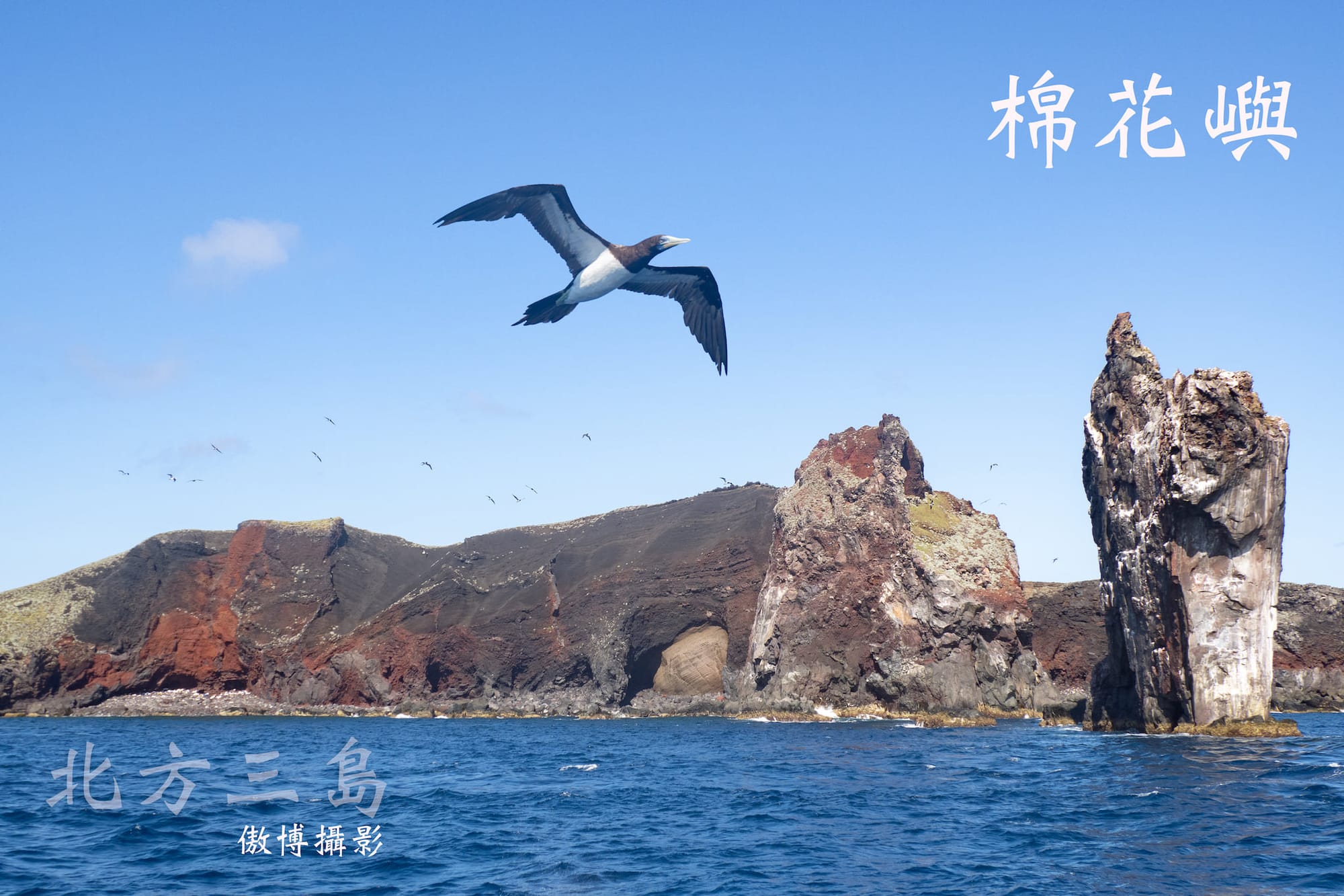 [  海洋之心  ]  台灣海洋攝影